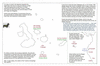 sto66 galapagos_thumb.gif